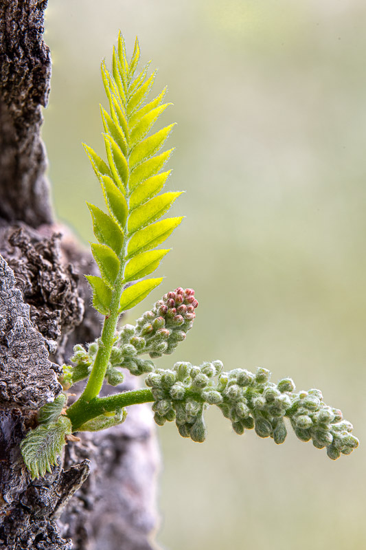 (4 / 20) CLICK OR TAP PHOTO TO ADVANCE TO NEXT PHOTO