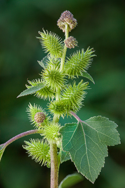 (5 / 20) CLICK OR TAP PHOTO TO ADVANCE TO NEXT PHOTO