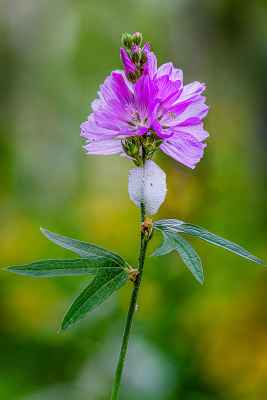 (7 / 20) CLICK OR TAP PHOTO TO ADVANCE TO NEXT PHOTO