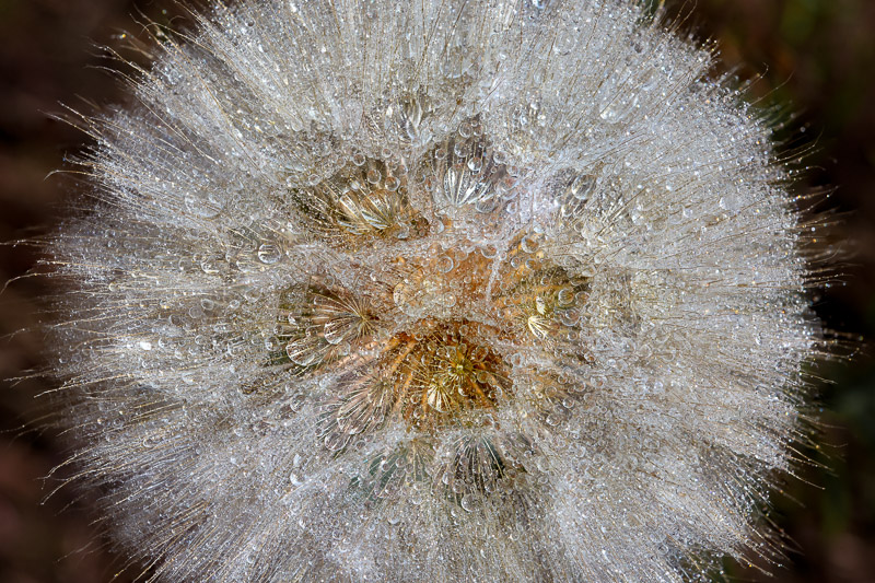 (8 / 20) CLICK OR TAP PHOTO TO ADVANCE TO NEXT PHOTO