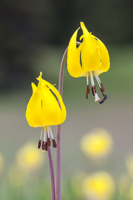 (9 / 20) CLICK OR TAP PHOTO TO ADVANCE TO NEXT PHOTO