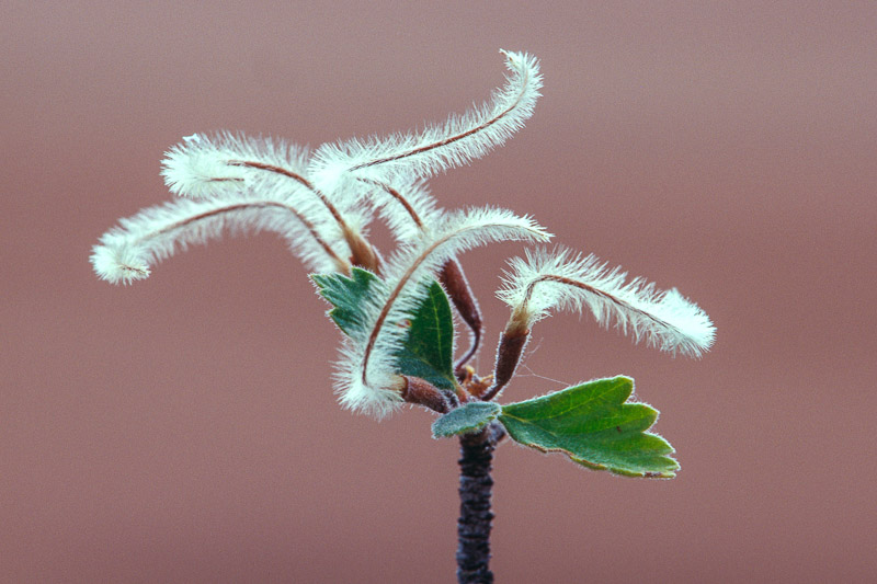 (11 / 20) CLICK OR TAP PHOTO TO ADVANCE TO NEXT PHOTO