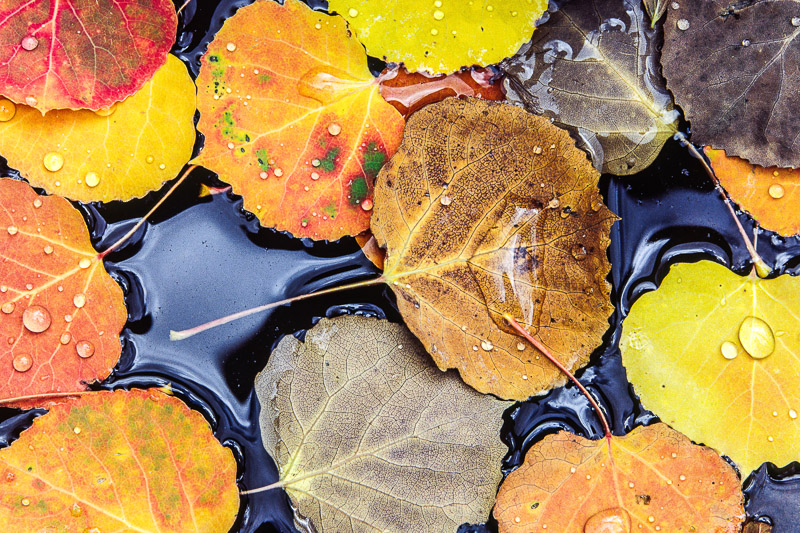 (12 / 20) CLICK OR TAP PHOTO TO ADVANCE TO NEXT PHOTO