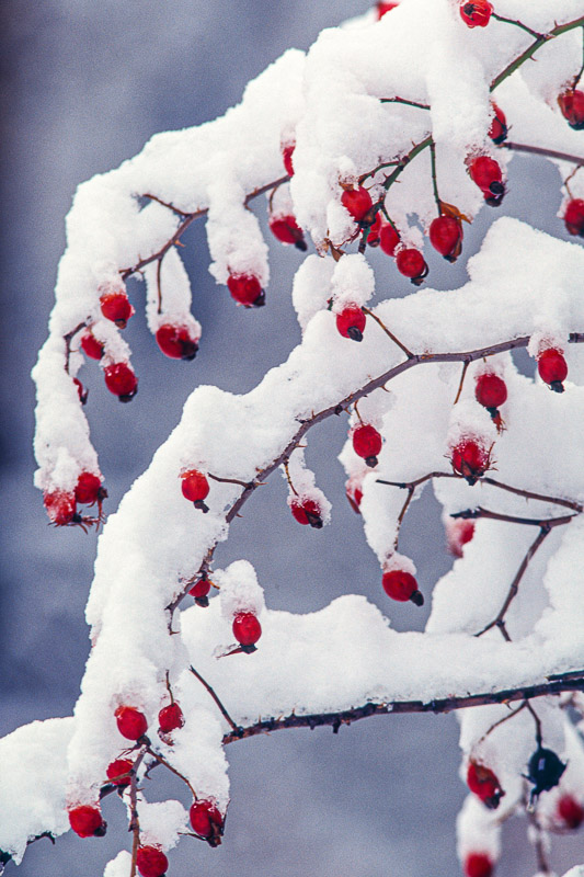 (14 / 20) CLICK OR TAP PHOTO TO ADVANCE TO NEXT PHOTO