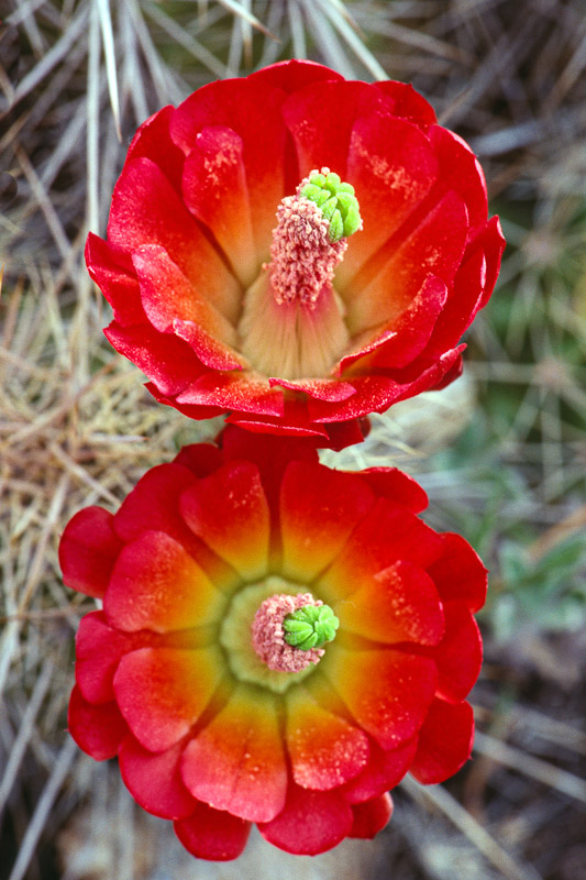 (15 / 20) CLICK OR TAP PHOTO TO ADVANCE TO NEXT PHOTO