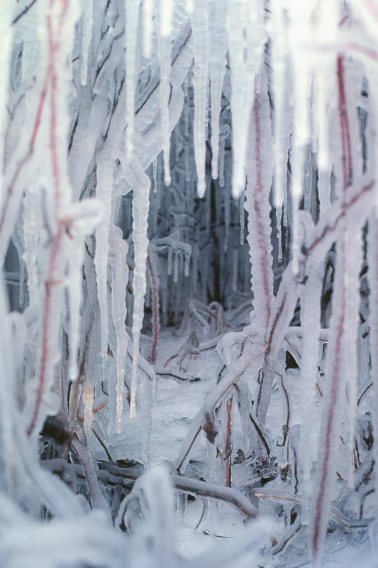 (16 / 20) CLICK OR TAP PHOTO TO ADVANCE TO NEXT PHOTO