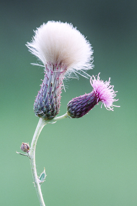 (18 / 20) CLICK OR TAP PHOTO TO ADVANCE TO NEXT PHOTO