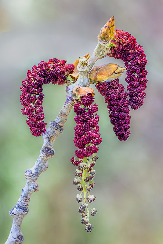 (19 / 20) CLICK OR TAP PHOTO TO ADVANCE TO NEXT PHOTO