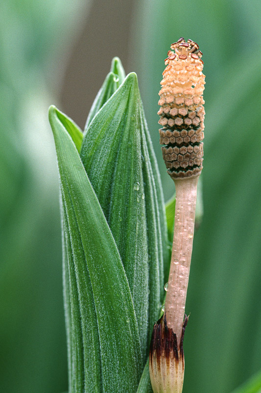 (20 / 20) CLICK OR TAP PHOTO TO ADVANCE TO NEXT PHOTO